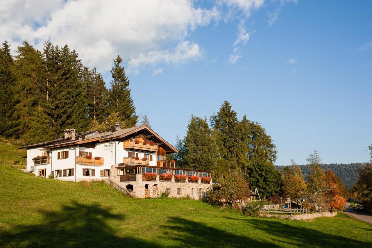 Hotel Restaurant Waldbichl Verano Zewnętrze zdjęcie